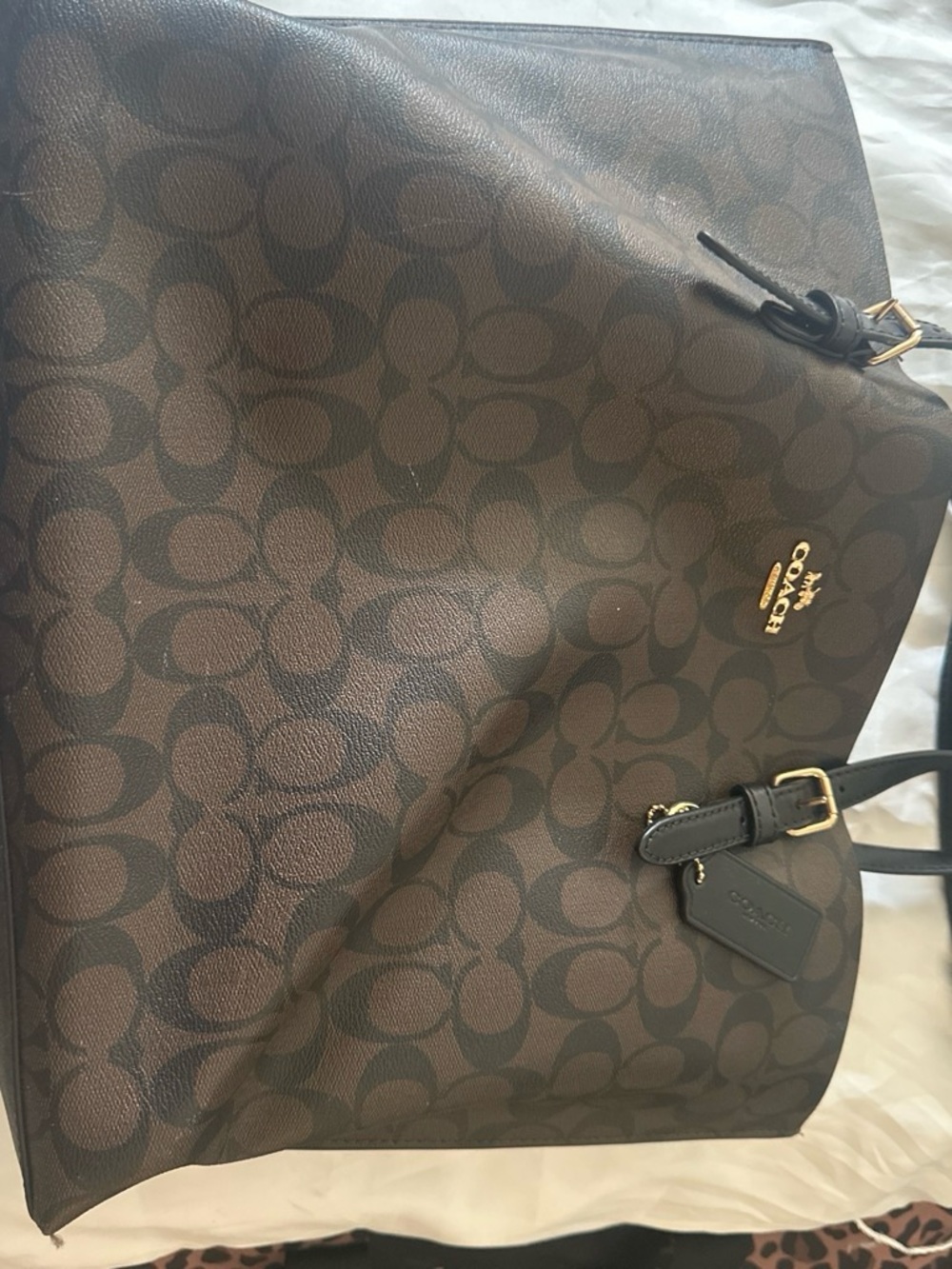 Coach mollie signature canvas tote